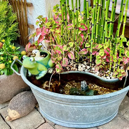 Auszeit Zwischen Mosel Und Nuerburgring *